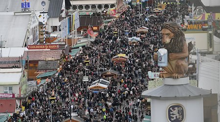 Sollen Wiesn-Besucher bald Eintritt zahlen? (Archivbild) / Foto: Felix Hörhager/dpa