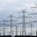 Adern der Stromversorgung - Freileitungen und Masten. (Symbolbild) / Foto: Christian Charisius/dpa