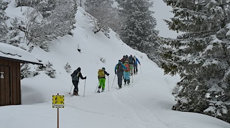 Tourengeher sind bei Garmisch-Partenkirchen auf einer ausgewiesenen Route unterwegs.  / Foto: Malin Wunderlich/dpa