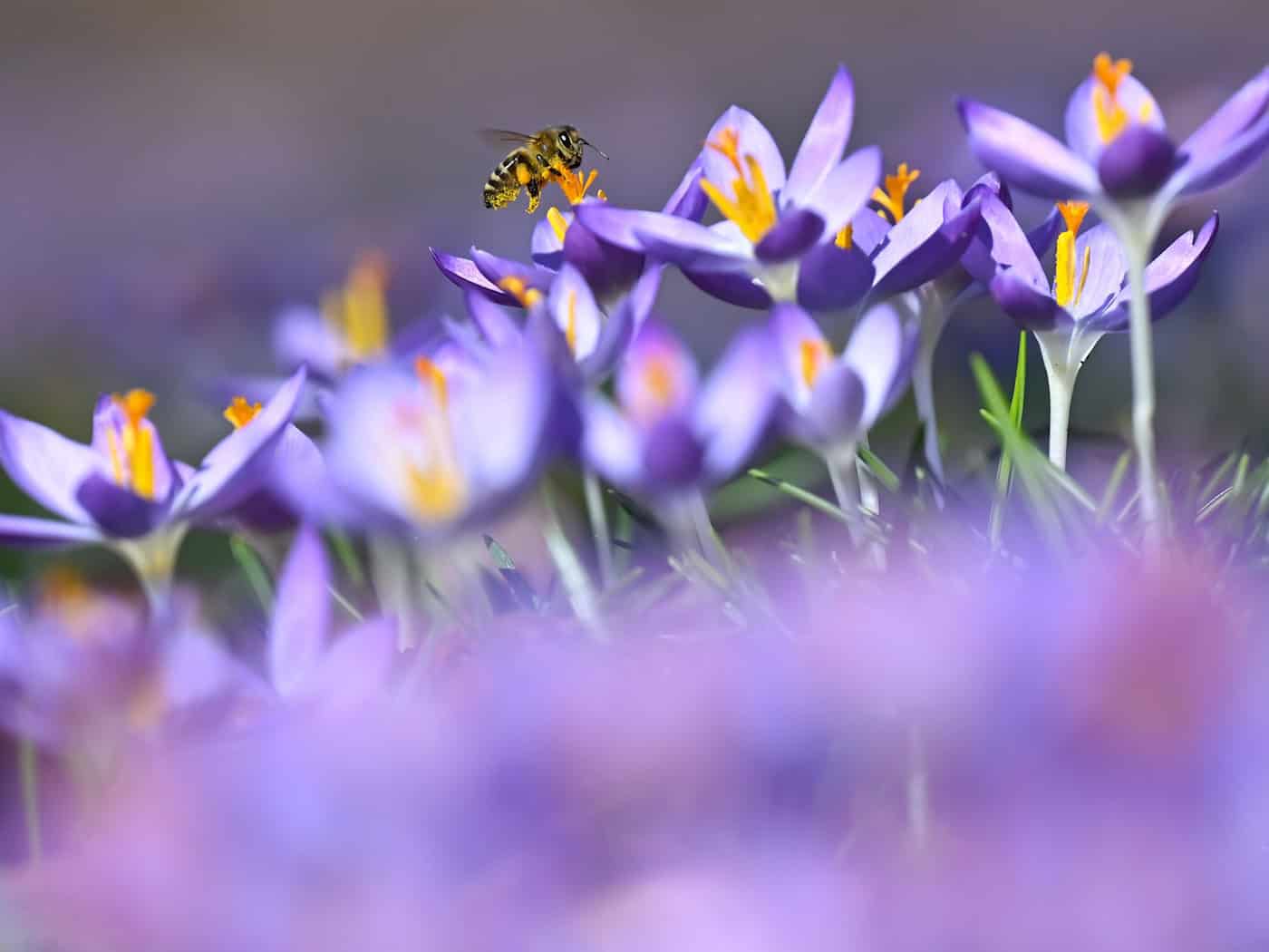 Die Temperaturen in Bayern steigen weiter an. / Foto: Sven Hoppe/dpa