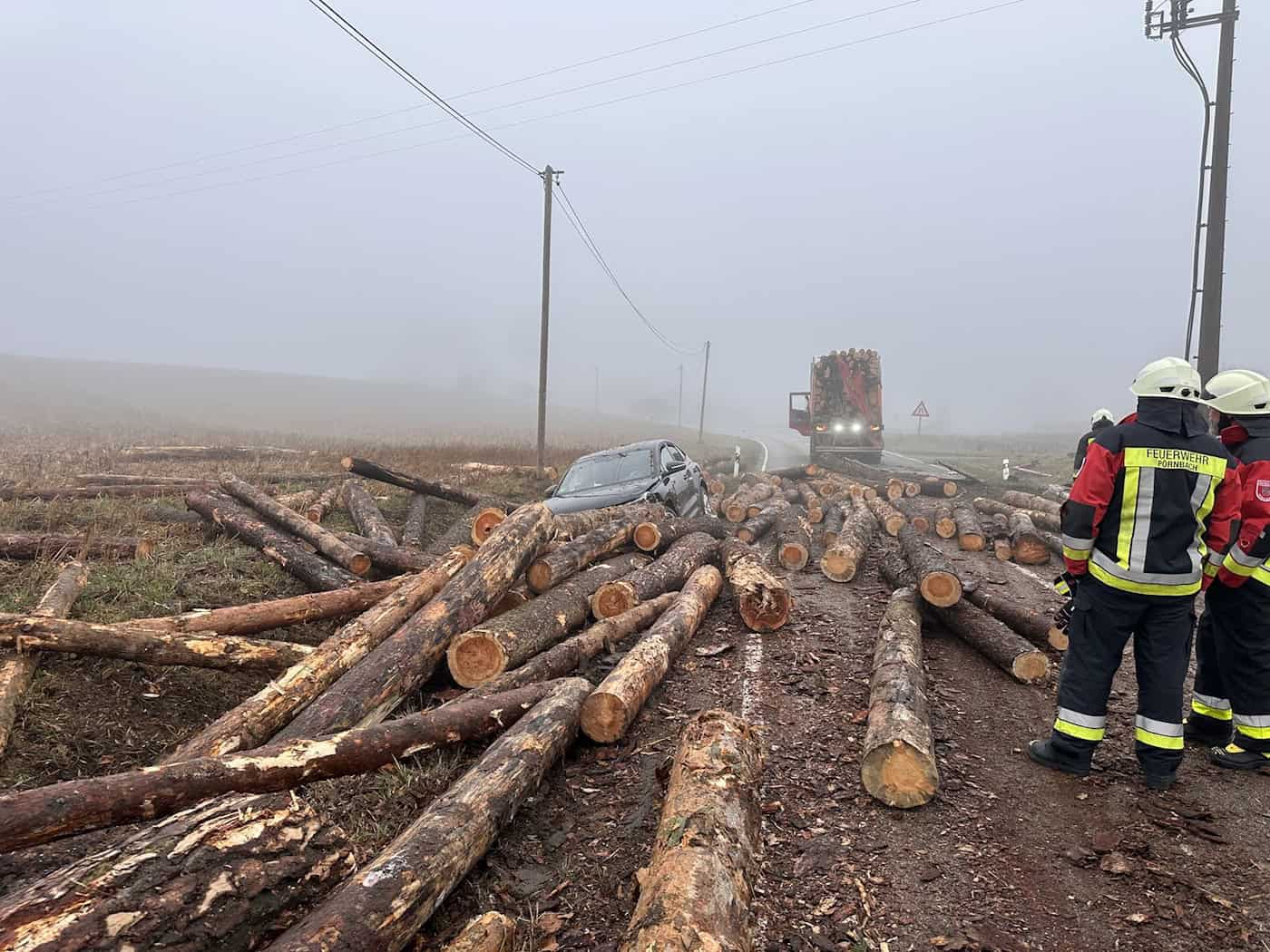 Die Holzstämme rollten über Fahrbahn und Bankett und trafen unter anderem einen Wagen im Gegenverkehr. (Symbolbild) / Foto: Kirberg/Vifogra GmbH/dpa