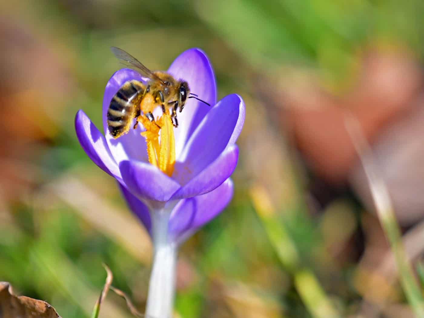 Die Temperaturen in Bayern steigen weiter. / Foto: Malin Wunderlich/dpa