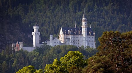 Fast 1,1 Millionen Menschen haben Schloss Neuschwanstein 2025 besucht. (Archivbild) / Foto: Karl-Josef Hildenbrand/dpa