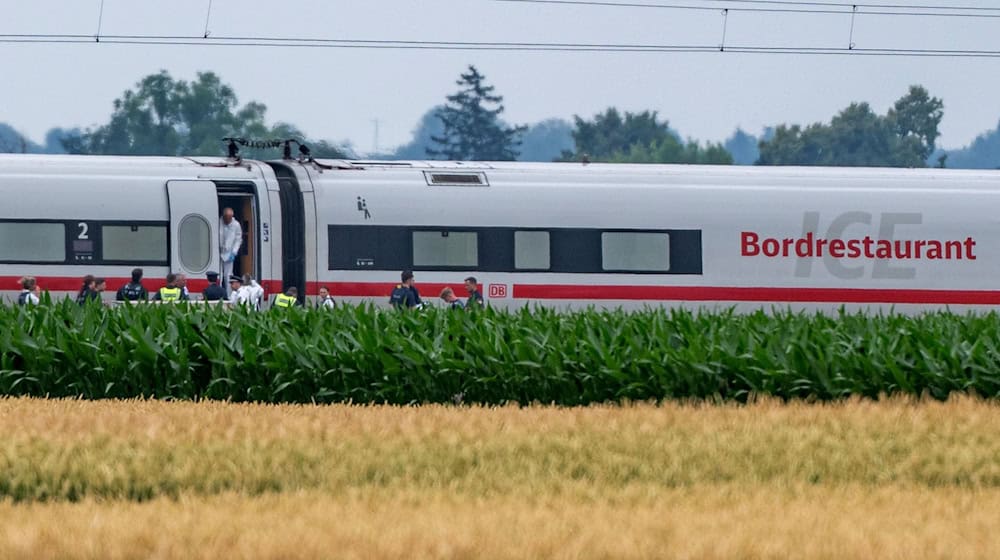 Für den mutmaßlichen Axt-Angreifer aus einem ICE in Niederbayern hat die Staatsanwaltschaft einen Antrag auf dauerhafte Unterbringung in einem psychiatrischen Krankenhaus gestellt. (Archivbild) / Foto: Armin Weigel/dpa