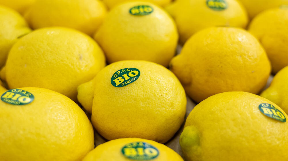 In Nürnberg eröffnet die weltweit größte Messe der Biobranche. Produkte aus nachhaltigem Anbau boomen (Archivbild).  / Foto: Daniel Karmann/dpa