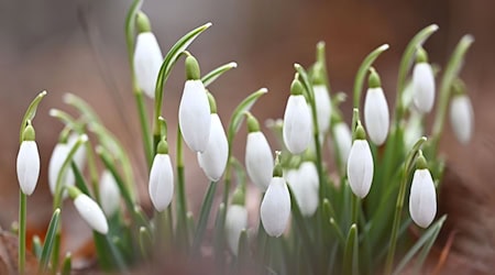 Die Temperaturen in Bayern steigen weiter an. (Symbolbild) / Foto: Katrin Requadt/dpa