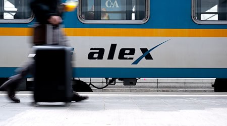 Ein «Alex»-im Münchner Hauptbahnhof. (Archiv) / Foto: Sven Hoppe/dpa