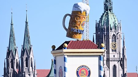 Paulaner - hier ein Bild vom Oktoberfest - hat vergangenes Jahr deutlich mehr Getränke verkauft. (Archivbild) / Foto: Sven Hoppe/dpa