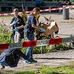 Ein Mord im Alten Botanischen Garten in München beschäftigt das Münchner Landgericht. (Archivbild) / Foto: Peter Kneffel/dpa