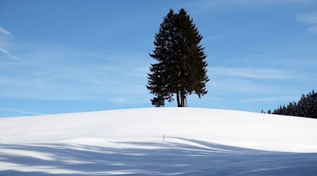Nur in den höheren Lagen zeigt sich die Sonne.  / Foto: Karl-Josef Hildenbrand/dpa