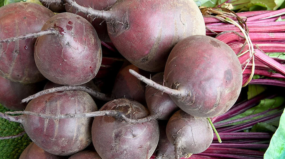 Hat Rote Bete etwas in Fleischerzeugnissen zu suchen? Das muss nun ein Gericht entscheiden. (Illustration) / Foto: picture alliance / Holger Hollemann/dpa