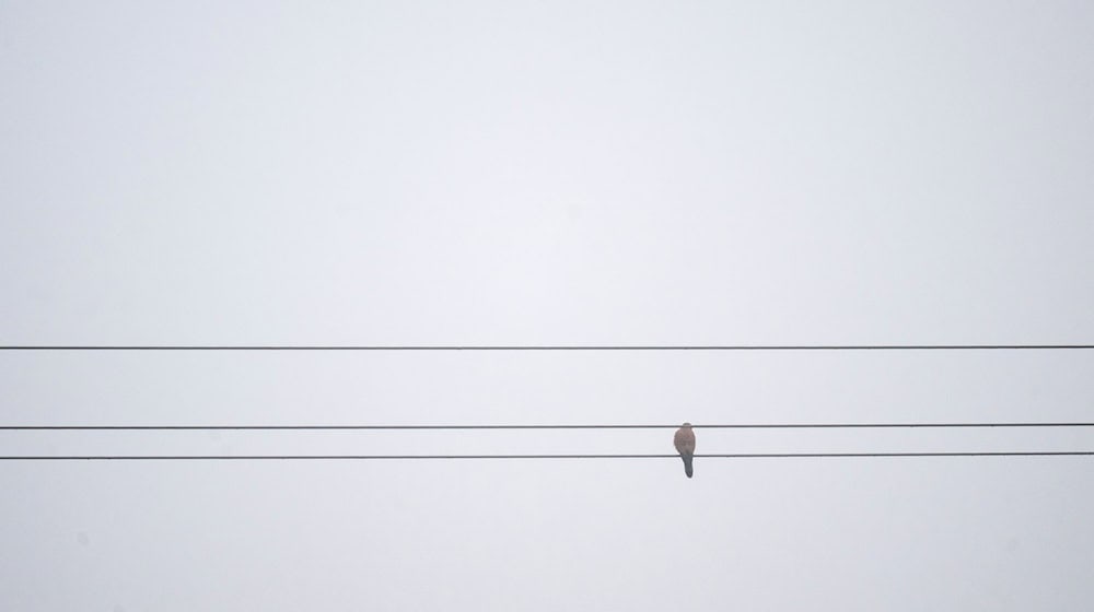 In Bayern gibt es derzeit viele Wolken und nur wenig Sonnenschein. (Symbolbild)  / Foto: Pia Bayer/dpa