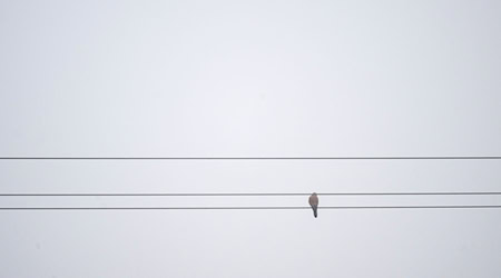 In Bayern gibt es derzeit viele Wolken und nur wenig Sonnenschein. (Symbolbild)  / Foto: Pia Bayer/dpa