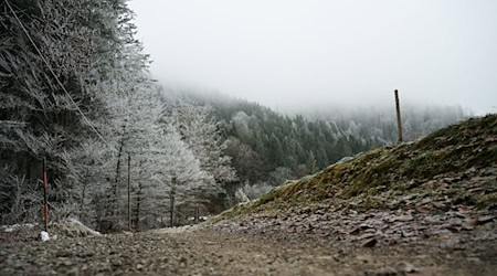 Die Wetteraussichten sind trist. (Symbolbild) / Foto: Malin Wunderlich/dpa