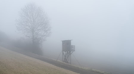 In vielen Teilen Bayerns wird Nebel erwartet.  / Foto: Silas Stein/dpa