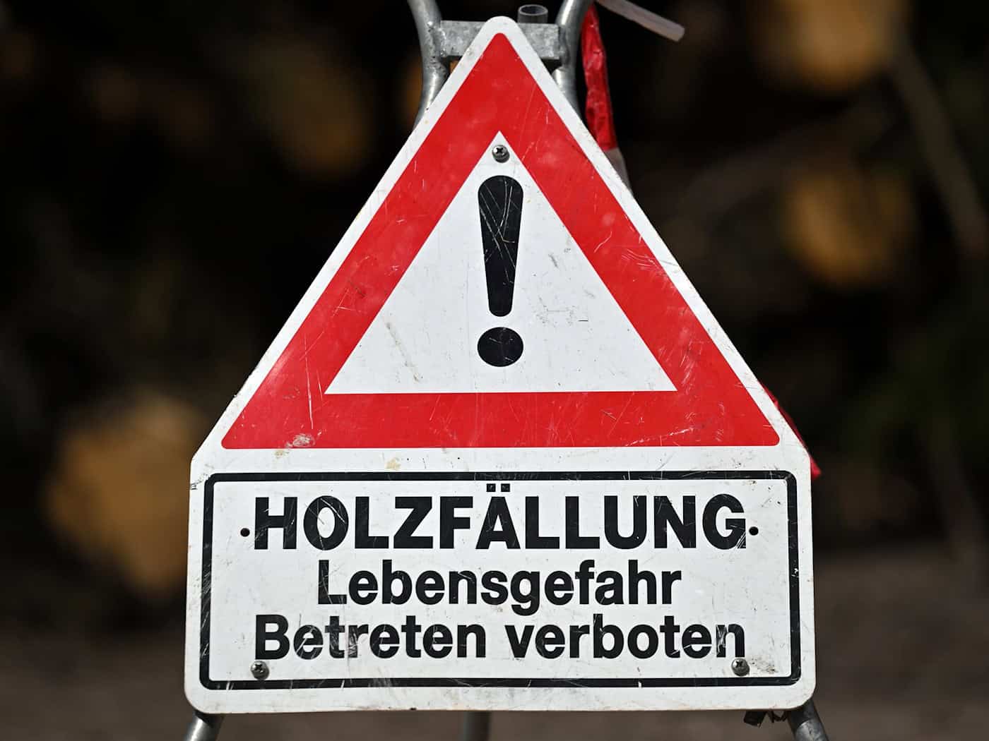 Ein Schild alleine reicht nicht zur Absicherung von Baumfällarbeiten. (Archivbild) / Foto: Martin Schutt/dpa