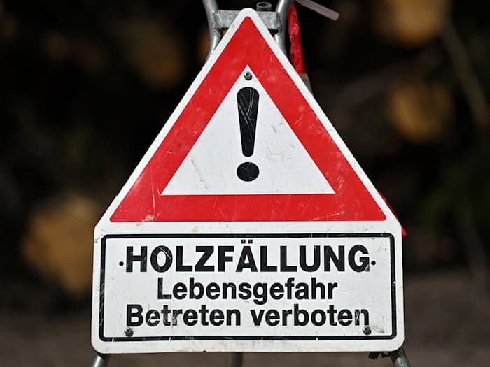 Ein Schild alleine reicht nicht zur Absicherung von Baumfällarbeiten. (Archivbild) / Foto: Martin Schutt/dpa