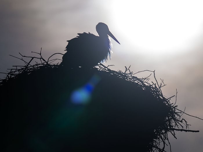  Laut Deutschem Wetterdienst soll es in Bayern am Sonntag und auch zu Wochenbeginn mit frühlingshaftem Wetter weitergehen. / Foto: Pia Bayer/dpa