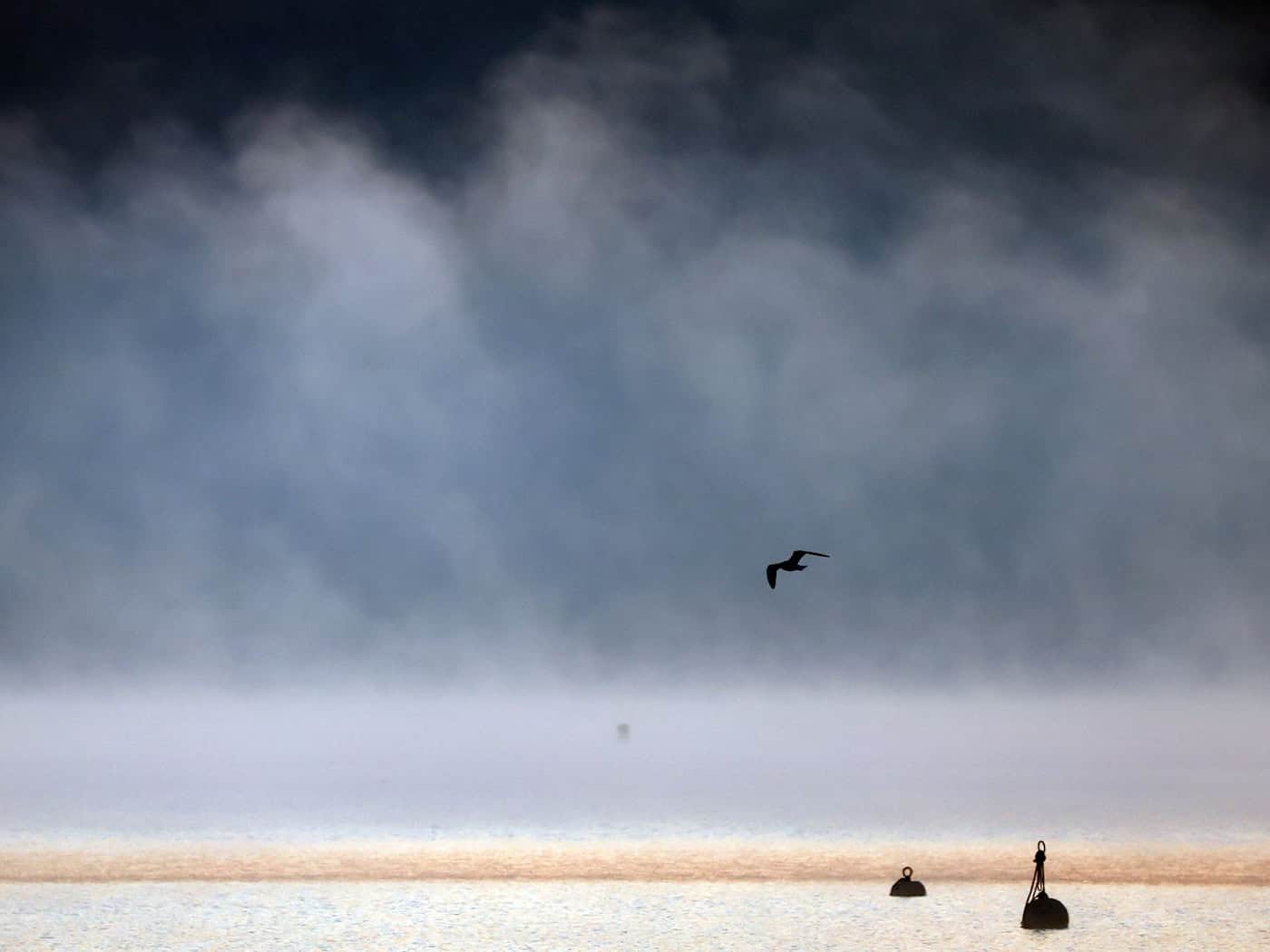 Nach dem frühlingshaften Wetter der vergangenen Tage soll es wieder ungemütlich werden. (Symbolbild) / Foto: Karl-Josef Hildenbrand/dpa