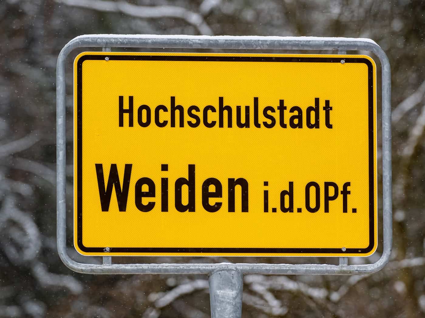 In Weiden in der Oberpfalz gibt es einen Wechsel im Rathaus. (Symbolbild) / Foto: Armin Weigel/dpa