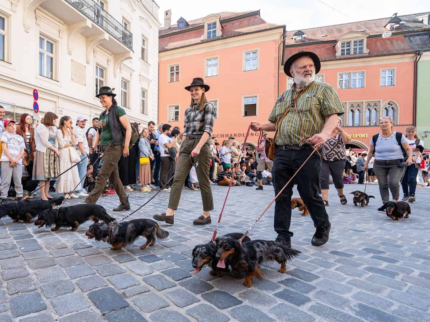 Auf der letzten Dackelparade spazierten mehr als 1.000 der kurzbeinigen Hündchen mit ihren Besitzerinnen und Besitzer durch die Stadt. (Archivbild) / Foto: Armin Weigel/dpa