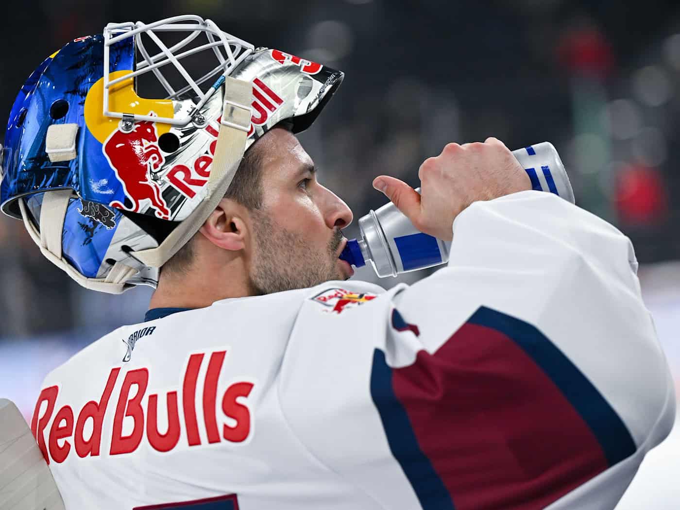 Goalie Matthias Niederberger fehlt dem EHC Red Bull München mehrere Wochen. (Archivbild) / Foto: Sven Hoppe/dpa