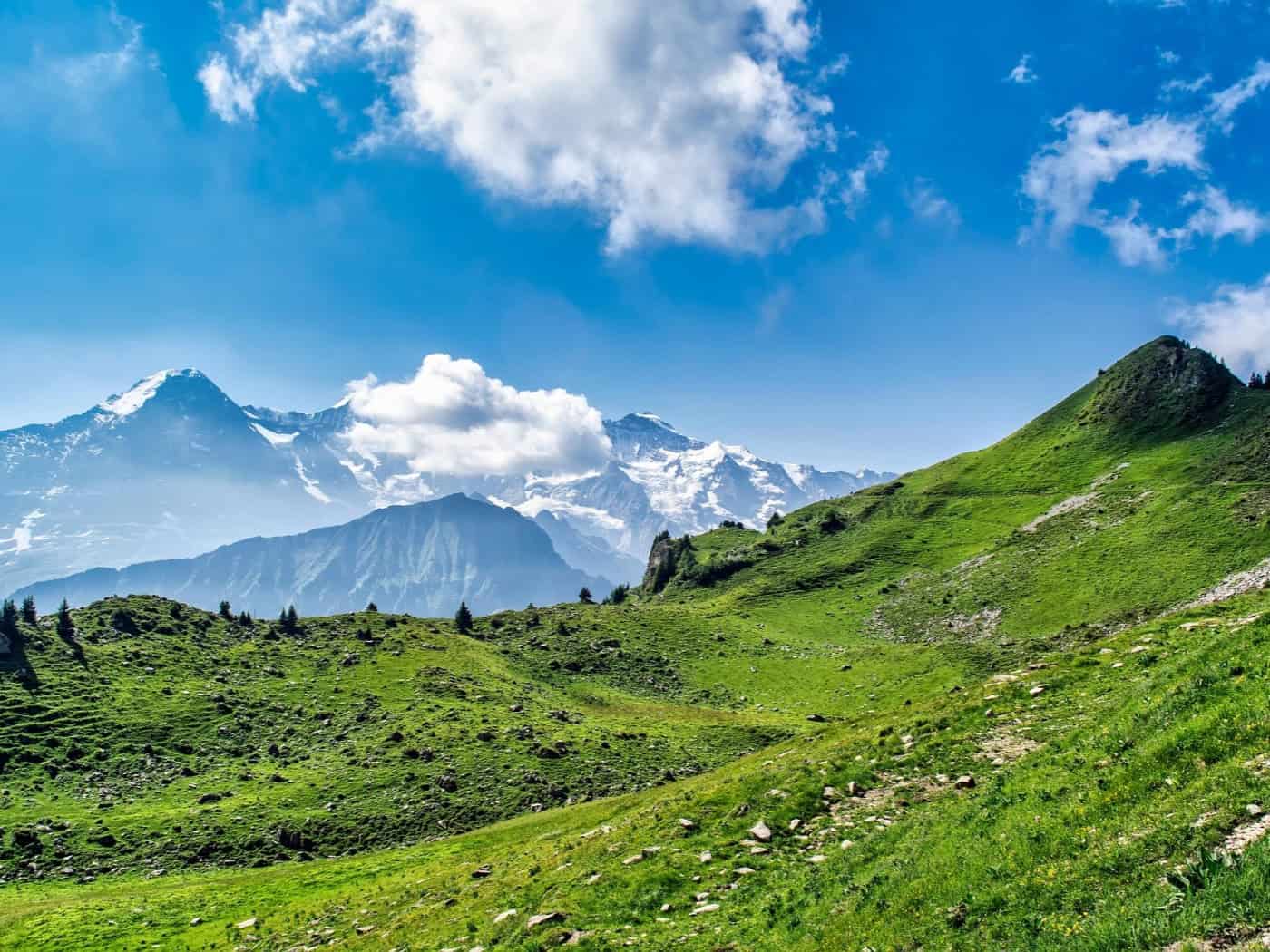 Ein typisches Alpenpanorama in Bayern: Von grünen Almwiesen aus eröffnet sich der Blick auf majestätische, schneebedeckte Gipfel – ein Ort der Weite und Entspannung. / Foto: Enrique auf Pixabay.com
