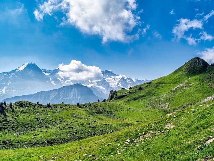 Ein typisches Alpenpanorama in Bayern: Von grünen Almwiesen aus eröffnet sich der Blick auf majestätische, schneebedeckte Gipfel – ein Ort der Weite und Entspannung. / Foto: Enrique auf Pixabay.com