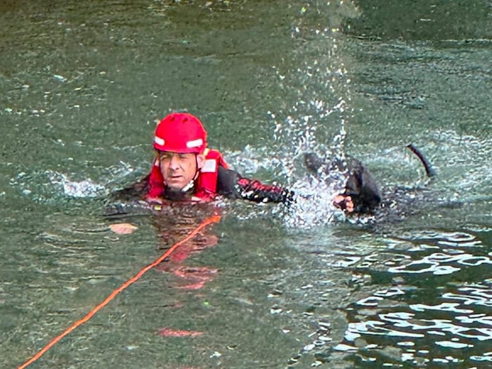 Ein speziell ausgebildeter Strömungsretter holte den verunglückten Vierbeiner aus dem Fluss. / Foto: -/Berufsfeuerwehr München/dpa
