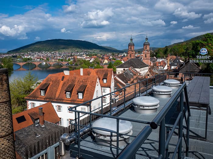 Der Landkreis Miltenberg hatte bisher einen Landrat von den Grünen. (Archivbild)  / Foto: Andreas Drouve/dpa-tmn