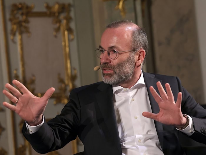 Manfred Weber grenzt sich erneut gegen die AfD ab.  / Foto: Karl-Josef Hildenbrand/dpa