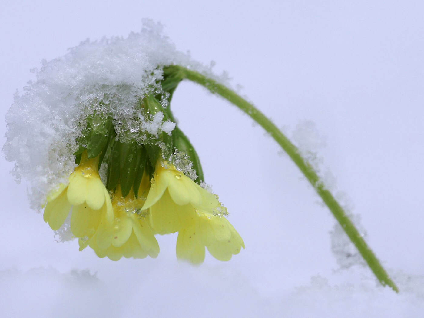 Die Osterferien beginnen mit ungemütlichem Wetter. (Archivbild) / Foto: Karl-Josef Hildenbrand/dpa