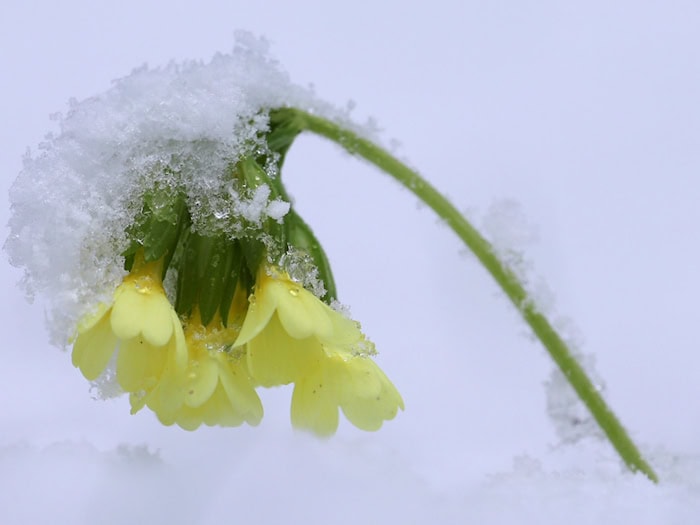 Die Osterferien beginnen mit ungemütlichem Wetter. (Archivbild) / Foto: Karl-Josef Hildenbrand/dpa