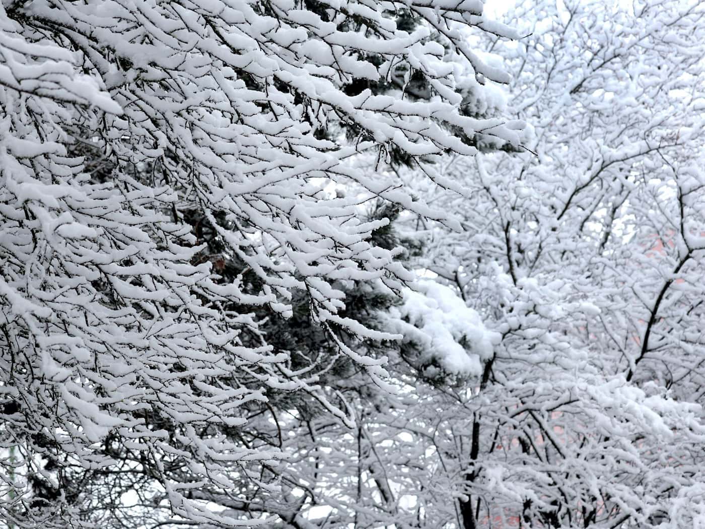 Kurz vor dem ersten Osterferien-Wochenende kam noch einmal der Schnee nach Bayern zurück.  / Foto: Karl-Josef Hildenbrand/dpa