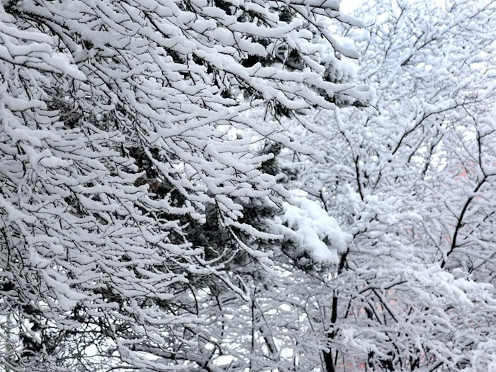 Kurz vor dem ersten Osterferien-Wochenende kam noch einmal der Schnee nach Bayern zurück.  / Foto: Karl-Josef Hildenbrand/dpa