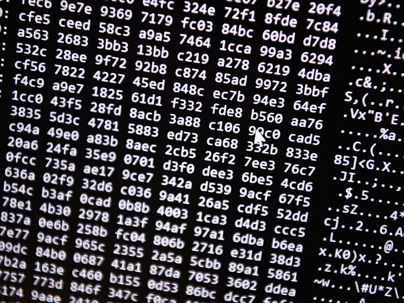 Neue Tools ermöglichten einen Schlag gegen ein Betrugs-Netzwerk im Darknet. (Symbolbild) / Foto: Nicolas Armer/dpa