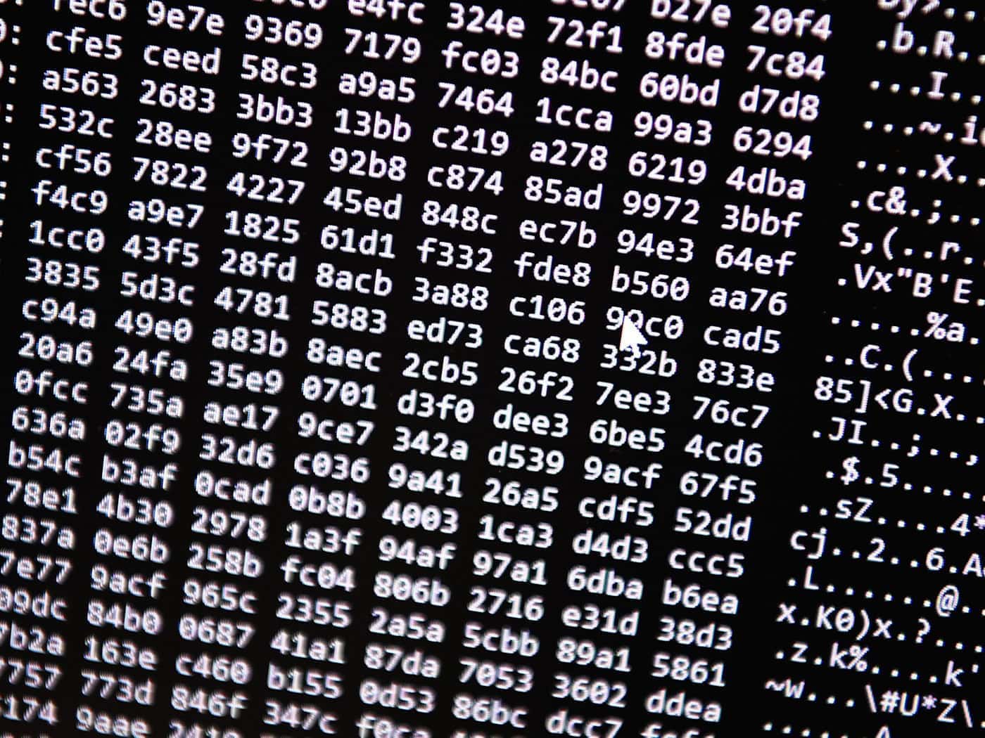 Neue Tools ermöglichten einen Schlag gegen ein Betrugs-Netzwerk im Darknet. (Symbolbild) / Foto: Nicolas Armer/dpa