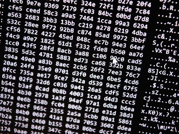 Neue Tools ermöglichten einen Schlag gegen ein Betrugs-Netzwerk im Darknet. (Symbolbild) / Foto: Nicolas Armer/dpa