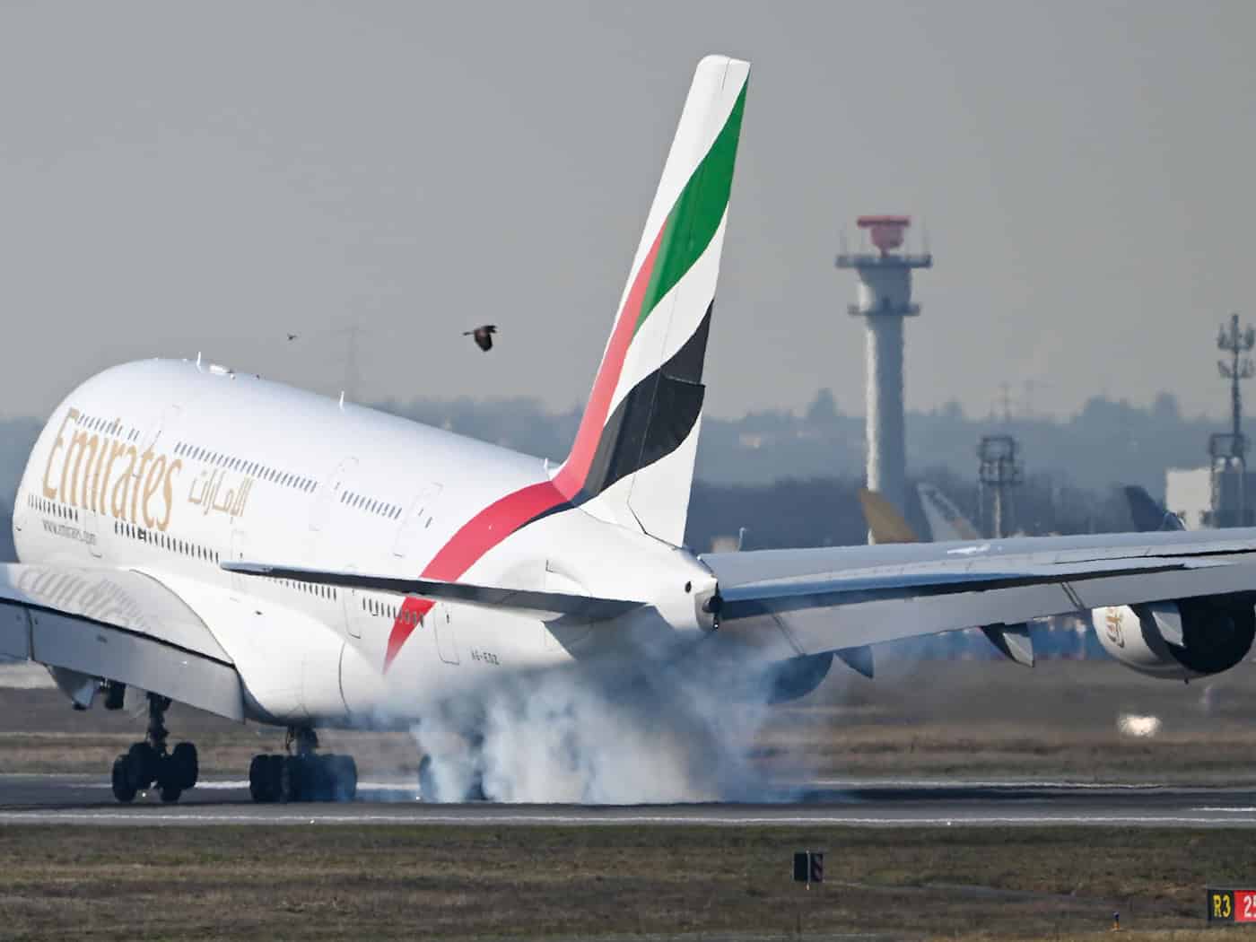 Die ersten Maschinen bringen bereits gestrandete Touristen aus dem Nahen Osten zurück nach Deutschland. (Symbolbild) / Foto: Florian Wiegand/dpa