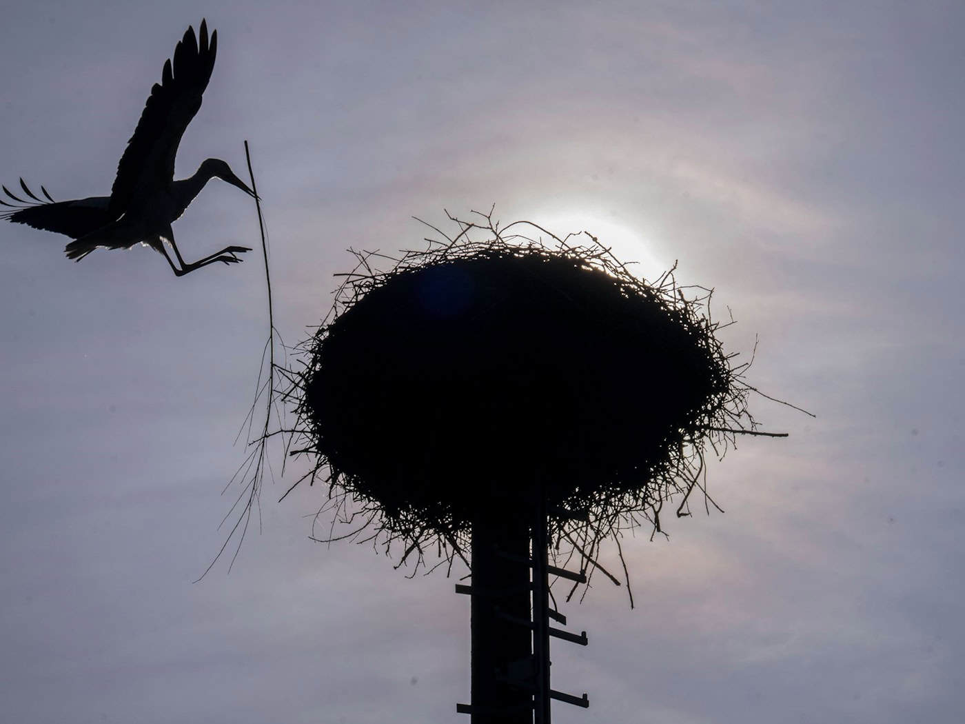 Vereinzelt kommt die Sonne durch, doch oft bleibt es Anfang der Woche bewölkt im Freistaat. (Archivbild) / Foto: Pia Bayer/dpa