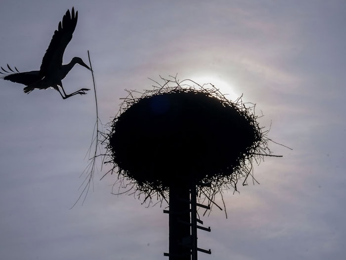 Vereinzelt kommt die Sonne durch, doch oft bleibt es Anfang der Woche bewölkt im Freistaat. (Archivbild) / Foto: Pia Bayer/dpa