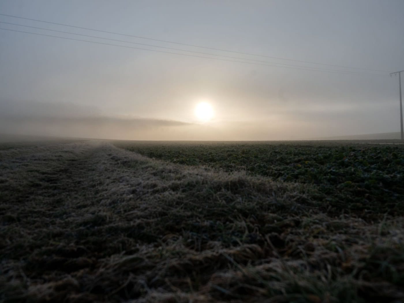 Nachts ist es in Bayern bisweilen noch leicht frostig. Doch tagsüber zeigt sich die Sonne bei frühlingshaften Temperaturen. (Archivbild) / Foto: Pia Bayer/dpa