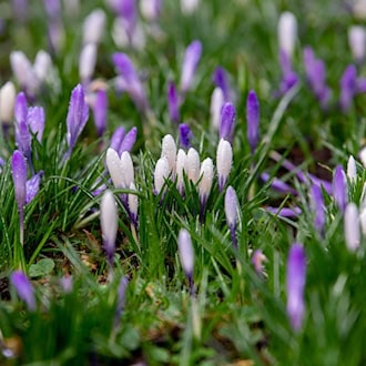Tagsüber gibt es Regen und Sonne, nachts bleibt es im Freistaat frostig. (Symbolbild) / Foto: Hauke-Christian Dittrich/dpa