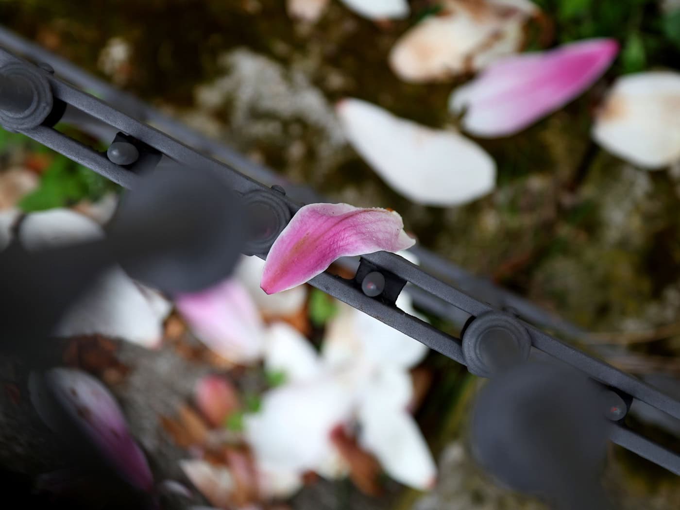 Nach einer frühlingshaften ersten Aprilwoche macht sich Regen breit. / Foto: Karl-Josef Hildenbrand/dpa