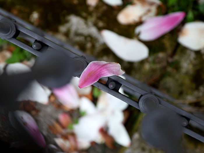 Nach einer frühlingshaften ersten Aprilwoche macht sich Regen breit. / Foto: Karl-Josef Hildenbrand/dpa