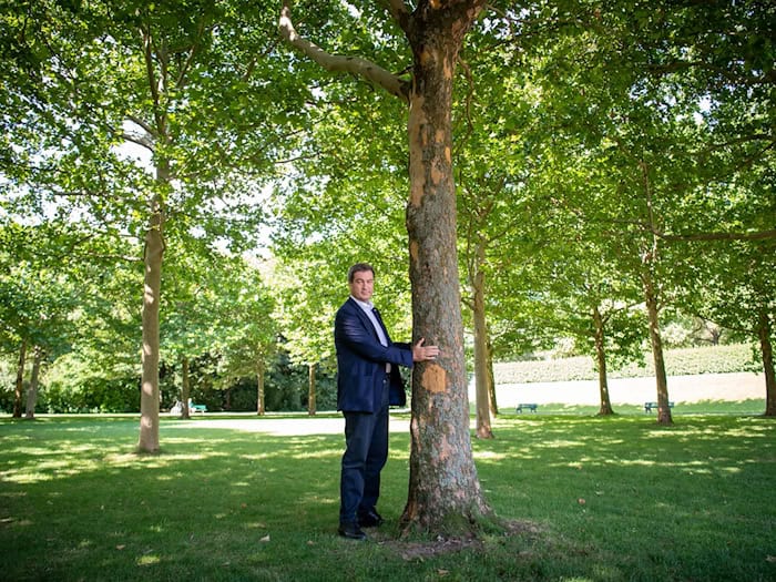 Dieses Foto verfolgt Markus Söder seit seiner Aufnahme 2020: Damals umarmte der bayerische Ministerpräsident einen Baum in München um zu zeigen, wie wichtig ihm der Klimaschutz ist. Nun hat Söders Kabinett die Klimaneutralität von 2040 auf 2045 verschoben. (Archivbild) / Foto: Peter Kneffel/dpa