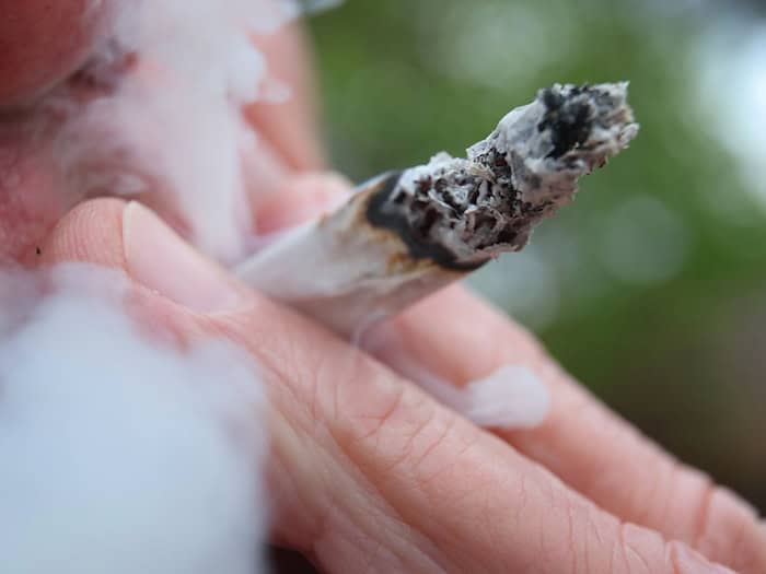 Cannabis-Konsum und -Anbau sind 2024 unter bestimmten Bedingungen erlaubt. / Foto: Karl-Josef Hildenbrand/dpa