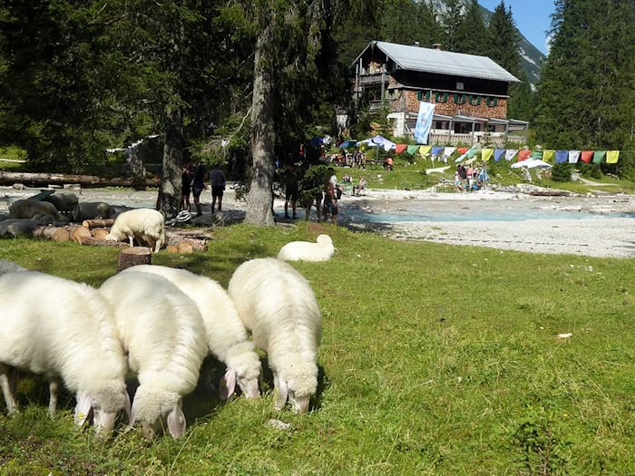 Der tragische Unfall ereignete sich unweit der Reintalangerhütte des Alpenvereins. (Archivbild) / Foto: Angelika Warmuth/dpa