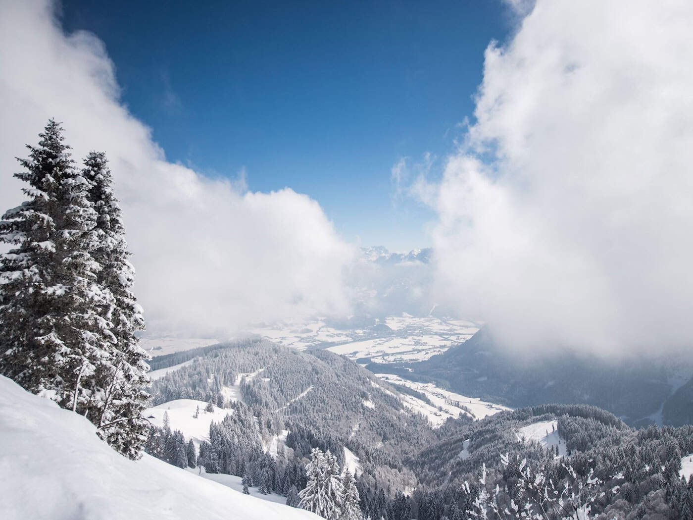 Ehrenamtliche Einsatzkräfte der Bergwacht Marktschellenberg retteten einen am Roßfeld-Skigebiet abgestürzten Hund - sie fanden ihn im Steilgelände. (Archivbld) / Foto: Lino Mirgeler/dpa