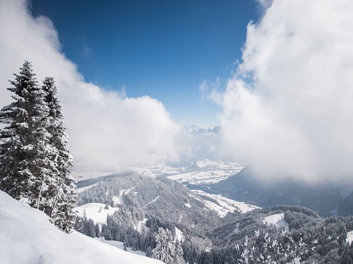 Drei Stunden Einsatz – Hund nach Absturz im Schnee gerettet